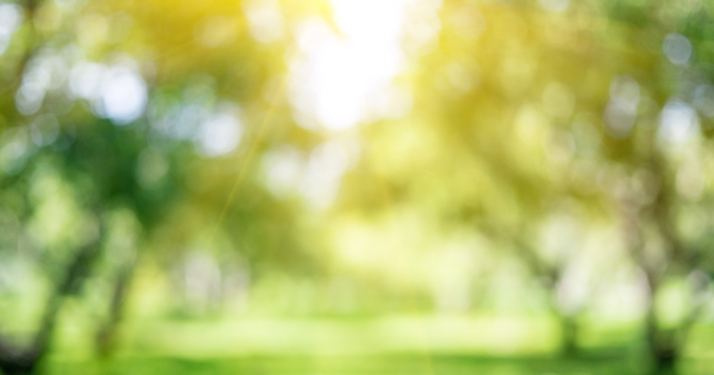 ヒプノセラピーオンアース体験談（後編）：穏やかな公園の光のイメージ